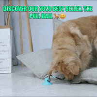 200.gif?cid=fc005b08591d59a1b9048e6d6abd9c08b324900fed7bbf05&rid=200.gif&ct=g