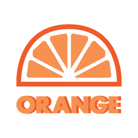Orange Slice Sticker by kule