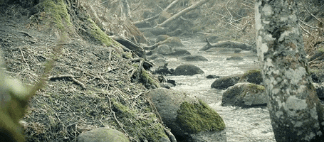 spring river GIF by Jerology