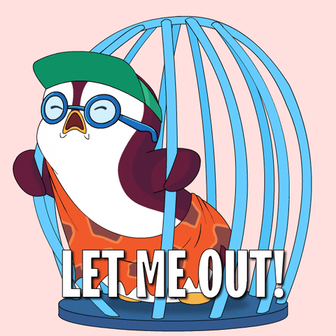 Im Innocent Let Me Go GIF by Pudgy Penguins