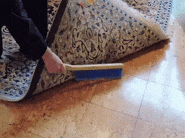 Swept Under Rug GIF