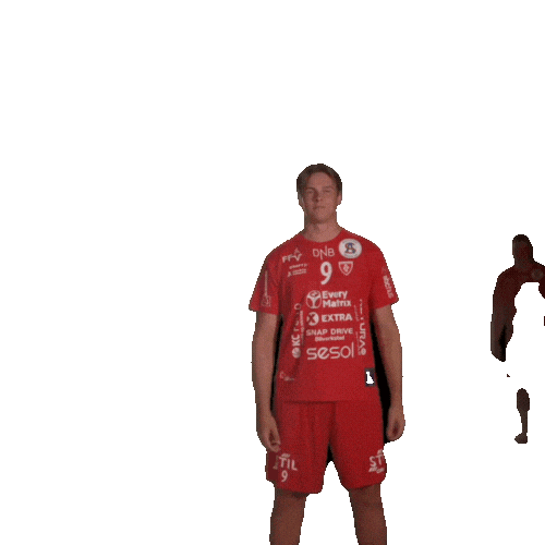 Rema1000Ligaen Follo Sticker by Norsk Topphåndball