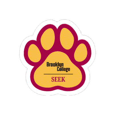Seek Sticker by Brooklyn College
