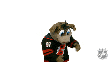 Ice Hockey Dancing GIF by NHL