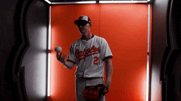 Major League Baseball No GIF by Baltimore Orioles
