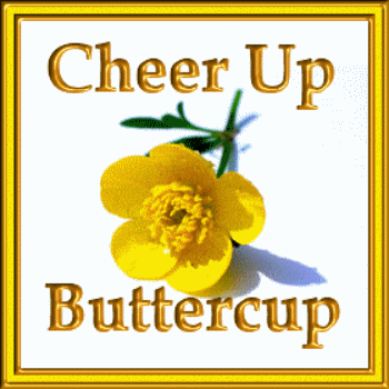 buttercups meme gif