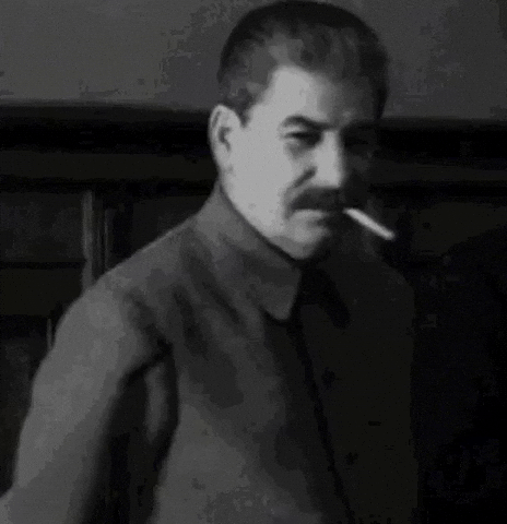 Mikolyants GIF by soviets funny collection