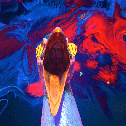 Dr Peacock Hardcore GIF by DVTD MGMT