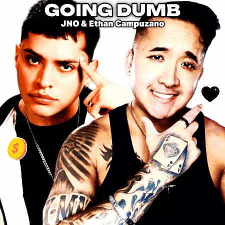 Going Dumb Bay Area GIF by JNO
