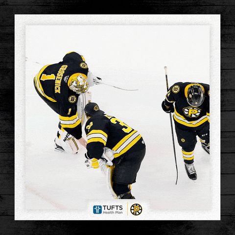 Boston Bruins Hockey GIF by Providence Bruins