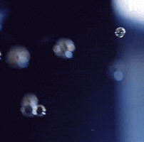 Byeonwooseok GIF