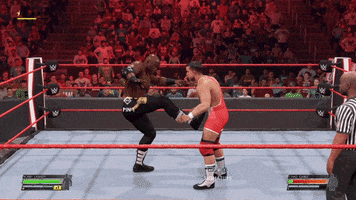 Pro Wrestling Fight GIF by Xbox
