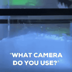 Photography Meme GIF by Jonti Wild