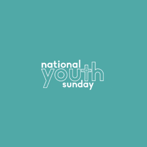 ndcys GIF