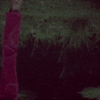 Subtle-motion GIFs - Get the best GIF on GIPHY Subtle-motion GIFs - Get the best GIF on GIPHY