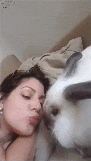 bunny kiss GIF