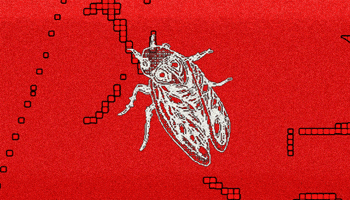 Karlfroye GIF by astropolis