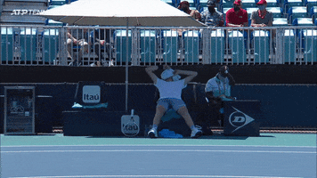 Cooling Off On Fire GIF by Tennis TV