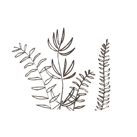 Flower Plant Sticker by Bee original