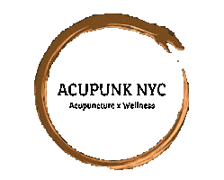 Acupunk NYC Sticker