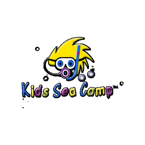 Ksc Sticker by Roatan Divers