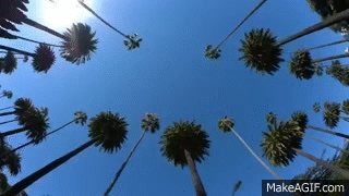 giphy.gif?cid=6c09b95263627fb975c46074f49bccf934f755cc3adb2a27&rid=giphy.gif