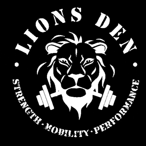 Ldsmp GIF by lionsdensmp