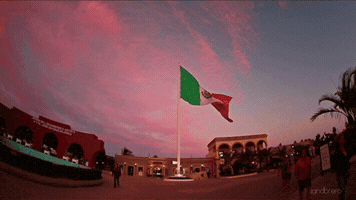 sandbrero love pink mexico flag GIF