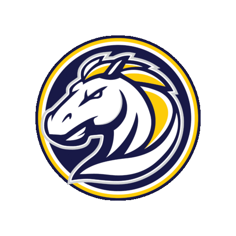 Flowingwellsjuniorhigh Sticker by Flowing Wells