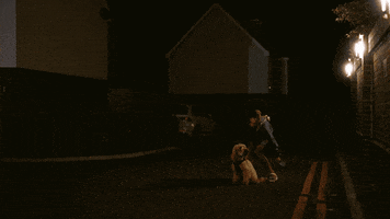 Pick Up Dog GIF by The Only Way is Essex