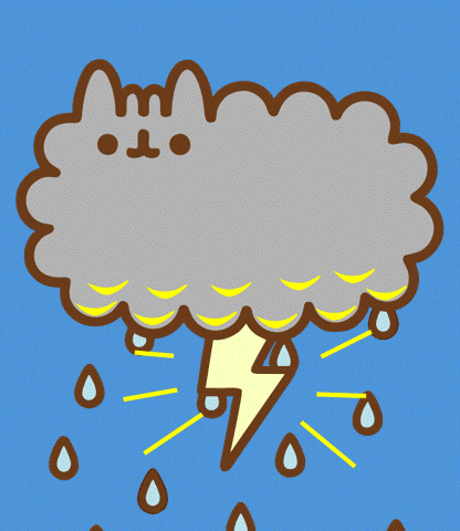 Cat Water GIF