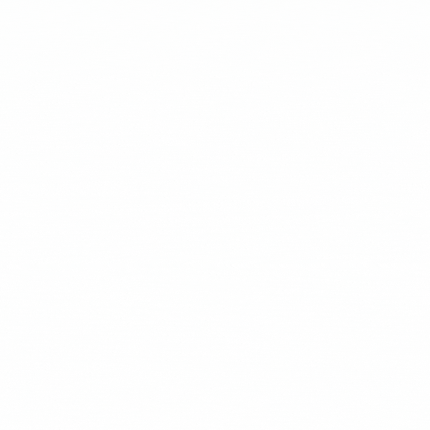dieciseisnovenos GIF