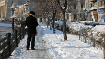 almaandreescu  GIF