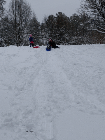 andrewchorney  GIF