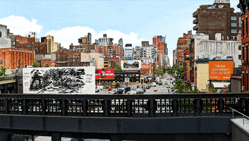 anatoleya nyc new york city manhattan GIF