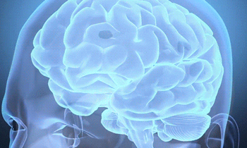 Brain Neuroscience GIF by University of California - Find & Share on GIPHY