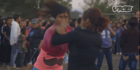 Cat-fight-punch GIFs - Get the best GIF on GIPHY