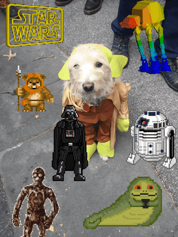 star wars GIF by chuber channel