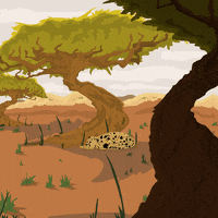 Cat Leopard GIF by GIPHY Studios Originals