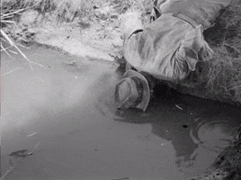 humphrey bogart water GIF by Warner Archive