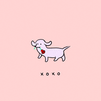 Happy I Love You GIF by Stefanie Shank