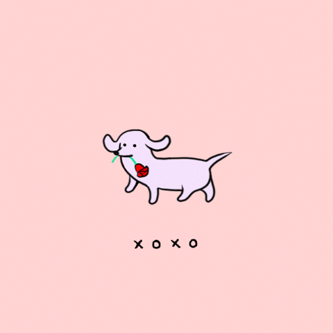 valentines day GIF