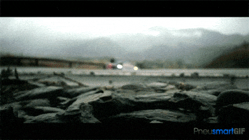 GIF by Okkult Motion Pictures