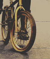 bike bicycle GIF