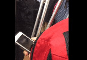 pauluskupa  GIF