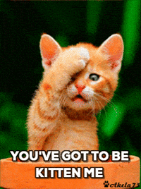 200w.gif?cid=82a1493betd3p57fdfusurqkziini1rdfblp7gfo7ckepy20&rid=200w.gif