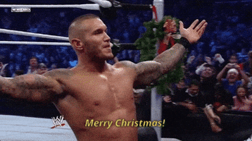 merry christmas GIF by WWE