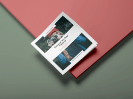 Branding Mock Up GIF