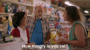 Hungry Cat Food GIF by Kim's Convenience