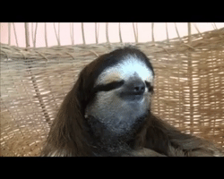 Rape GIF